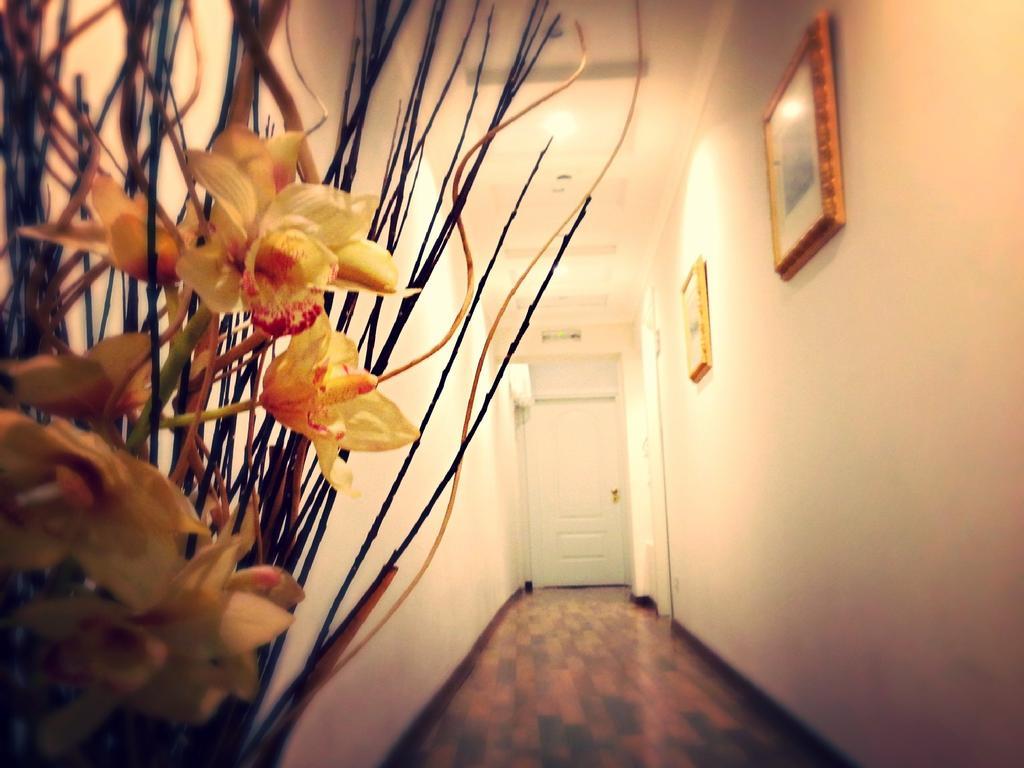 Residenza Domiziano Bed and Breakfast Rom Eksteriør billede